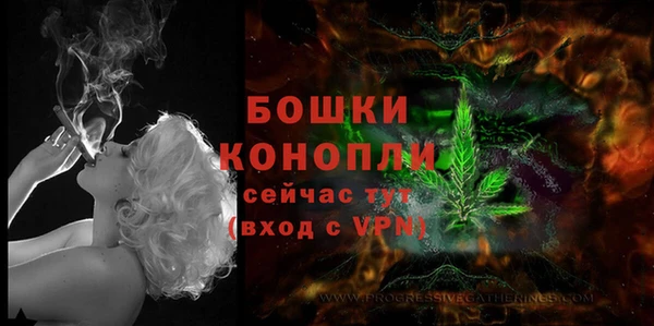 СК Калининец