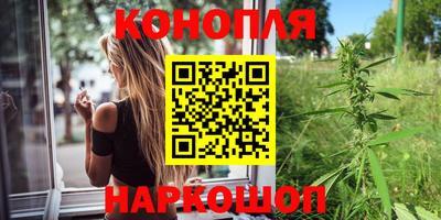 шишки Аргун