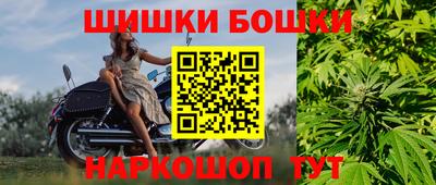 шишки Аргун