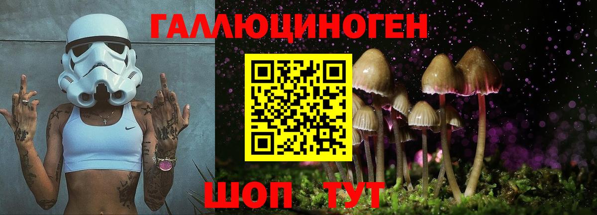 Белово  Галлюциногенные грибы GOLDEN TEACHER  Вход с VPN  Псилоцибиновые грибы мухоморы 