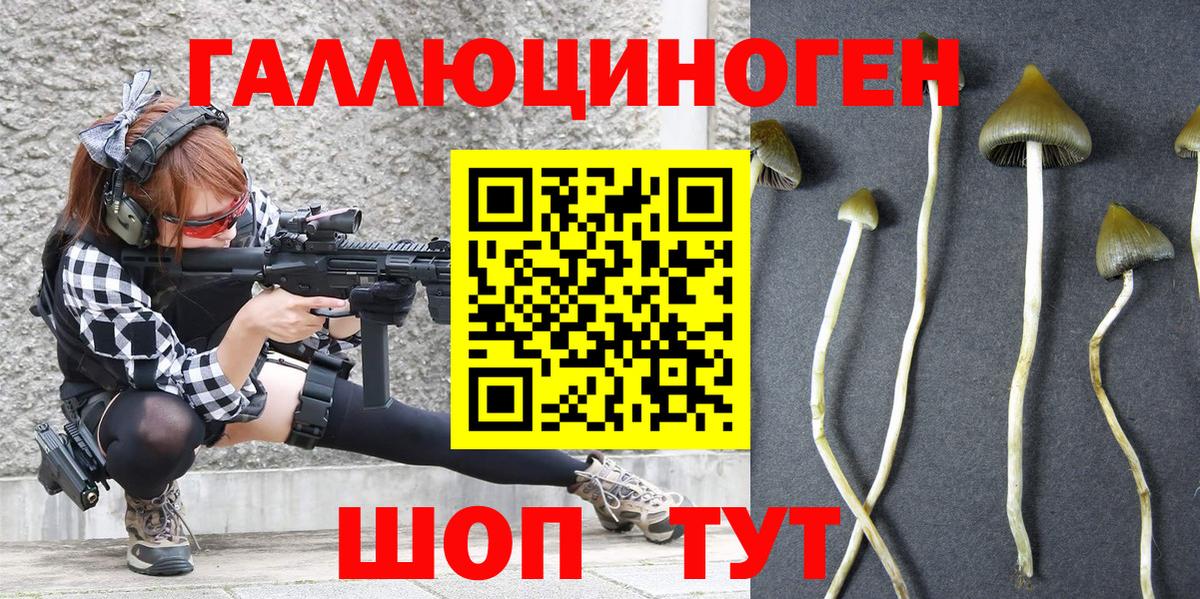 Галлюциногенные грибы прущие грибы Белово