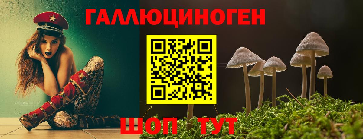 Псилоцибиновые грибы Cubensis Белово